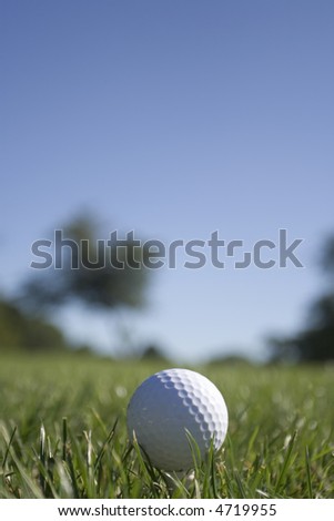 Golf Ball - Portrait Orientation (see 4719952 for Landscape Orientation)