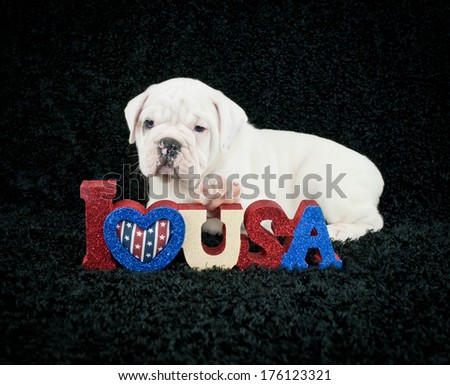 Little Bulldog puppy laying with his paw on an I Love U.S.A. sign on a black background.