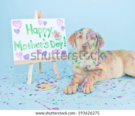 A sweet little Lab puppy that looks like he just made a mess painting a picture for Mom.