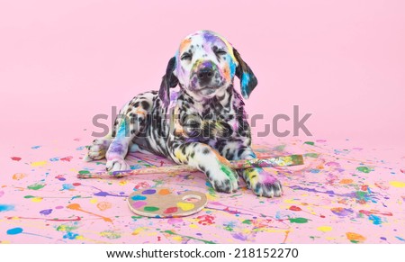 Silly Dalmatian  puppy that is smiling about her art work, on a pink background.