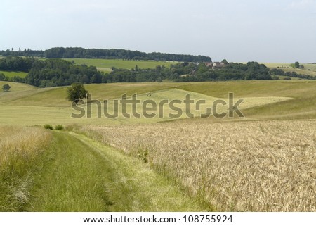 agricultural landscape in south germany - horizontal image