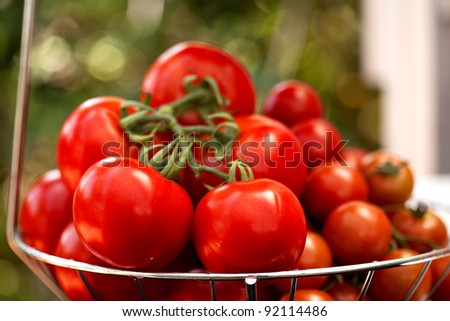 Red tomatoes in a steel basket
