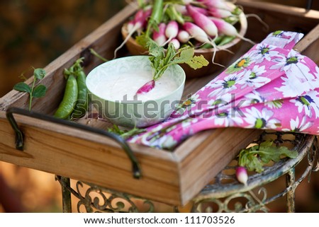 Radishes and yogurt sauce in wooden box. Also available in vertical format.