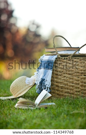 Picnic basket and straw hay laying on the grass. Also available in horizontal format.