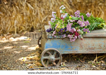 Wild flowers on  a vintage cart