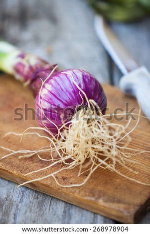 Fresh red onion on wooden background. Also available in horizontal format.