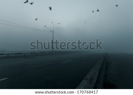 Misty cityscape. Empty city road.
