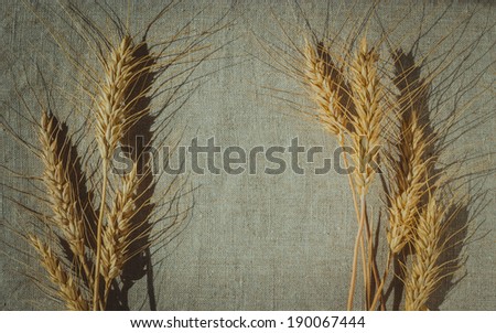 Wheat ears border on linen canvas background with copy space