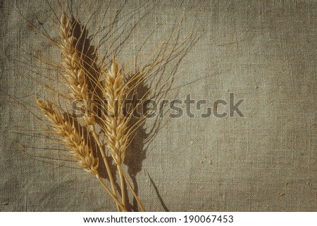 Wheat ears border on linen canvas background with copy space
