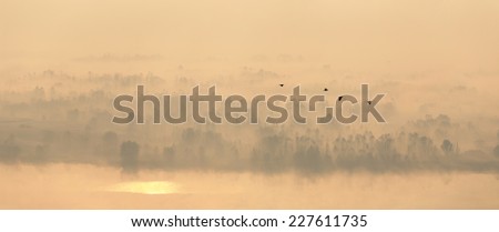 Panoramic view of autumnal foggy landscape. Morning light & fog creates watercolor effect.