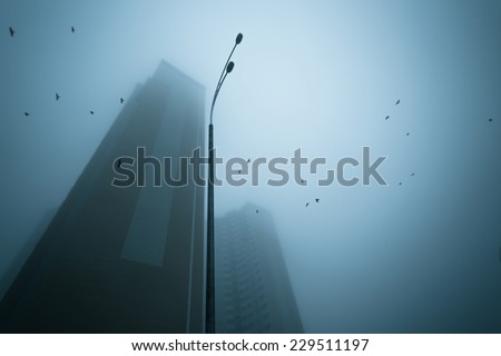 Skyscrapers at early foggy morning in the city district. Ravens flying over.