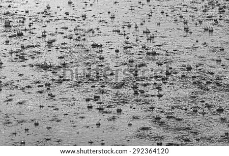 Drops of a summer rain on asphalt