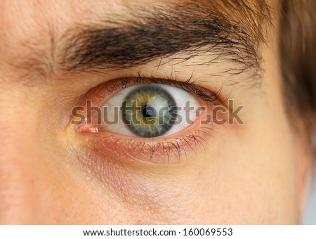 human eye and eyebrow closeup, concentrated look