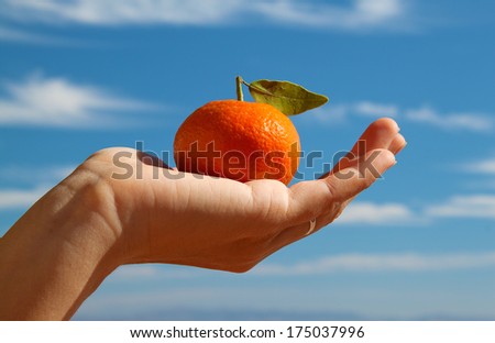 hand holding a tangerine with leaf on blue sky background