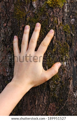 human hand touches the tree bark, apple-tree, Russia