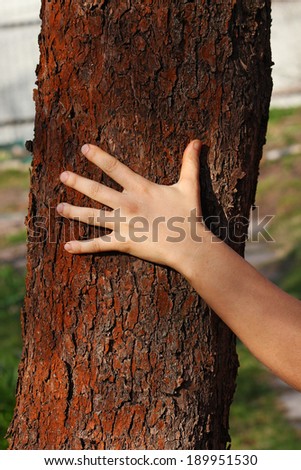 human hand on the tree bark, apple-tree, Russia