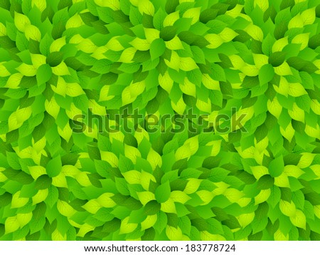Fresh green leaf landscape