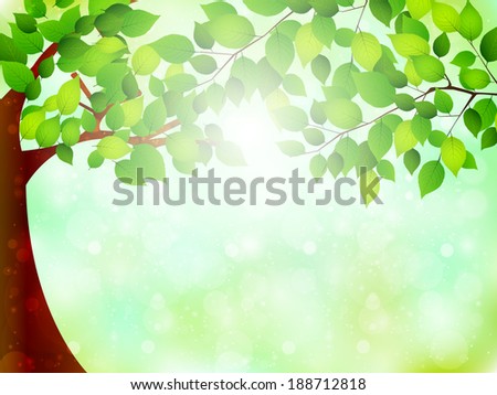 Leaf tree landscape