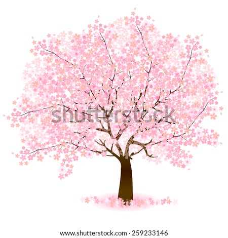 cherry tree vector cherry blossom trees wallpaper 1920x1080 wallpoper 450952 cherry tree vector cherry blossom trees wallpaper 1920x1080 wallpoper 450952