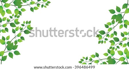 Leaf tree fresh green background