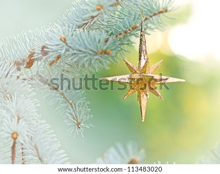 Christmas star on Christmas tree - Merry Christmas and Happy New Year