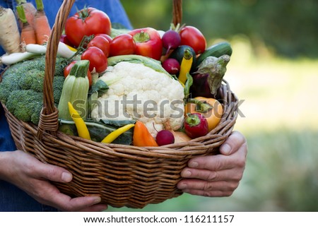 Vegetables in hands
