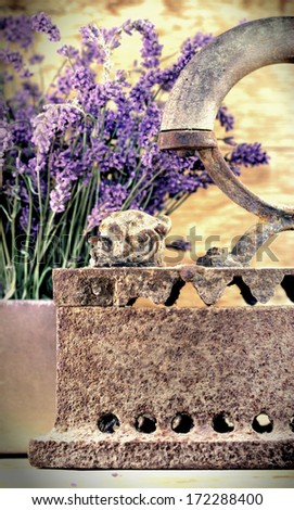 Rustic iron (old iron) and dry lavender