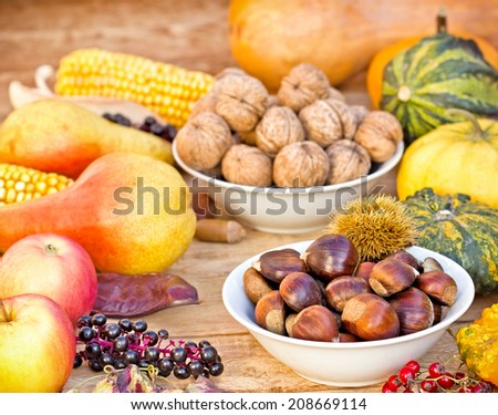 Autumn harvest - Autumn fruit