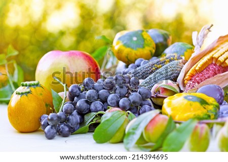 Autumn organic fruits and vegetables