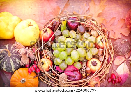 Autumn harvest - autumn fruits and vegetables