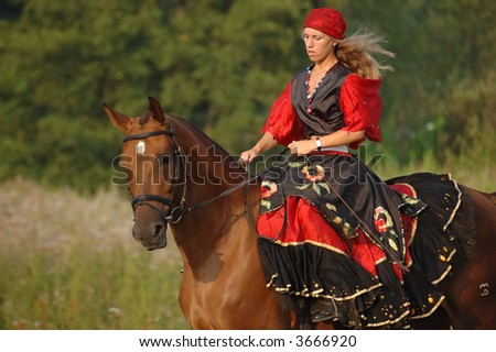horse show in fancy-dress - Gypsy
