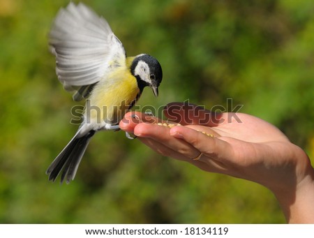 a bird in the hand is worth two in the bush, one today is worth two tomorrows