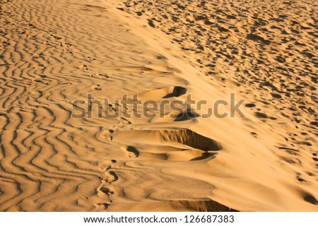 Sand dunes of Sam desert, Rajasthan