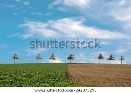 landscape of countryside  in Japan