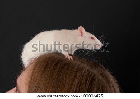 White domestic rat on a head of the girl