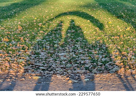 the shadow of the couple on a bench in the autumn lawn