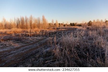 rural landscape in cold morning with frost on plants