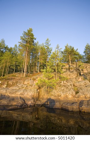 the rock shore of the forest lake in summer