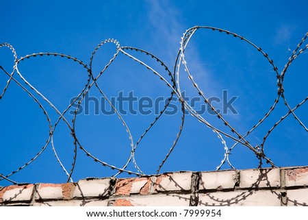 loops of barbwire in front of blue sky