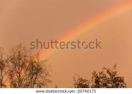 Rainbow in the morning in rising sun beams