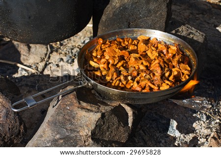 Cooking chanterelles in marching conditions on a fire