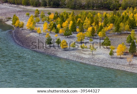 Stony river bank with autumn yellow trees