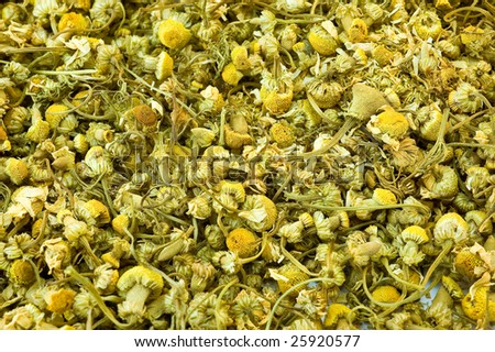 dried camomile