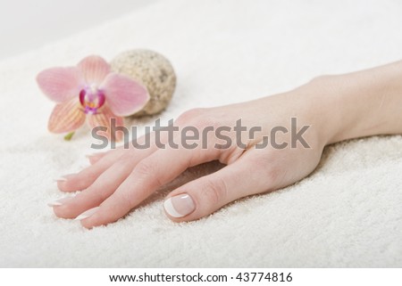 Beautiful hand with healthy skin and strong nails with perfect french manicure. orchid flower as a decoration