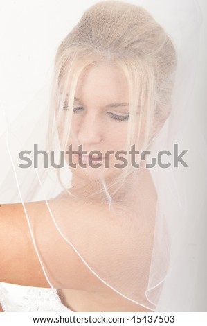Young beautiful fresh bride covered in white wedding veil