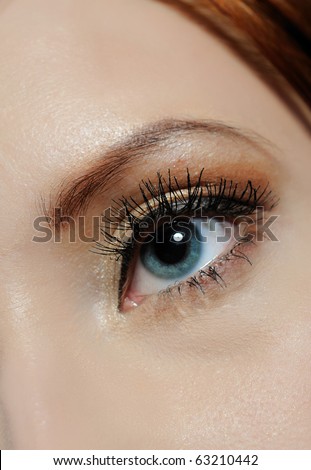 Beautiful macro shot of blue eye with long lashes and make-up in brown tones