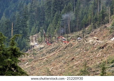 clear-cut logging operation