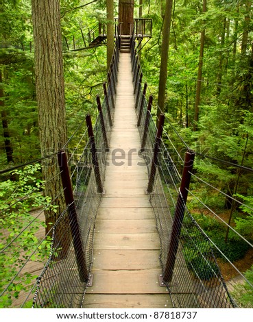 A cable supported suspension bridge takes tourists high above the forest floor on a walkway adventure near Vancouver, BC Canada