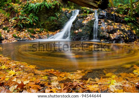 Autumn leaves swirl in a small pool at the base of Rustic Falls in Moran State Park, Washington