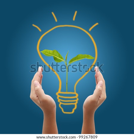 hand holding light bulb on blue background,young plant in a light bulb